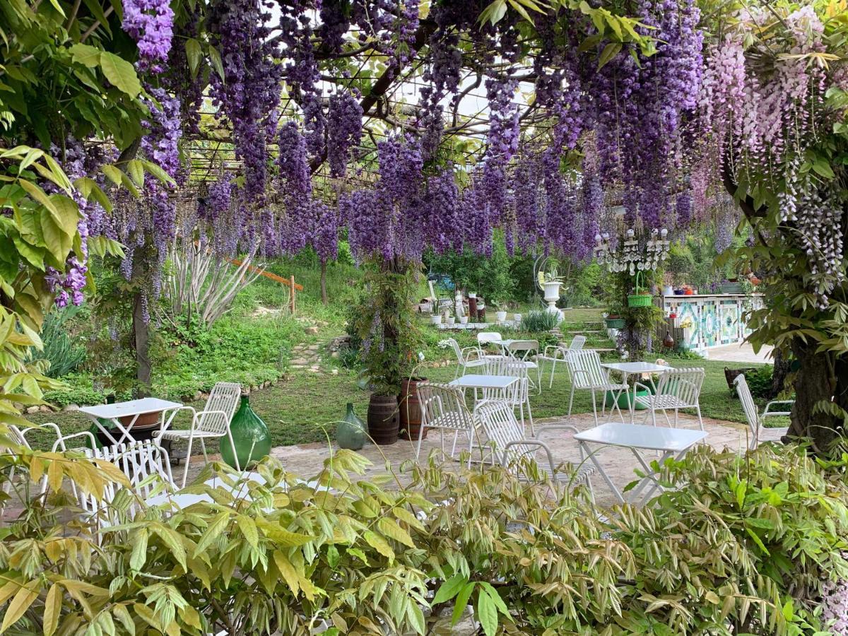 카스텔루조 R&B Mulino Marsa B&B 외부 사진